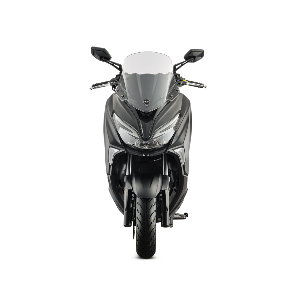 QJMOTOR Fort250 3