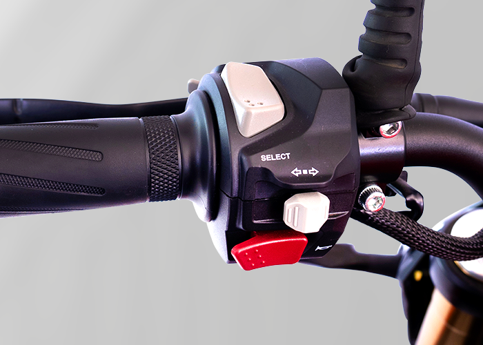 QJMOTOR SRK 300 S 4