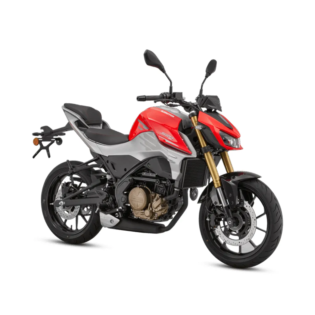 QJMOTOR SRK 300 S Gris