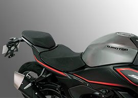 ASIENTO DE LA SRK 550