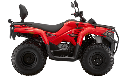 ATV 300 B